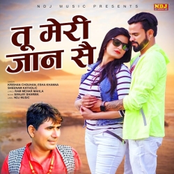 Tu Meri Jaan Se Mp3 Song